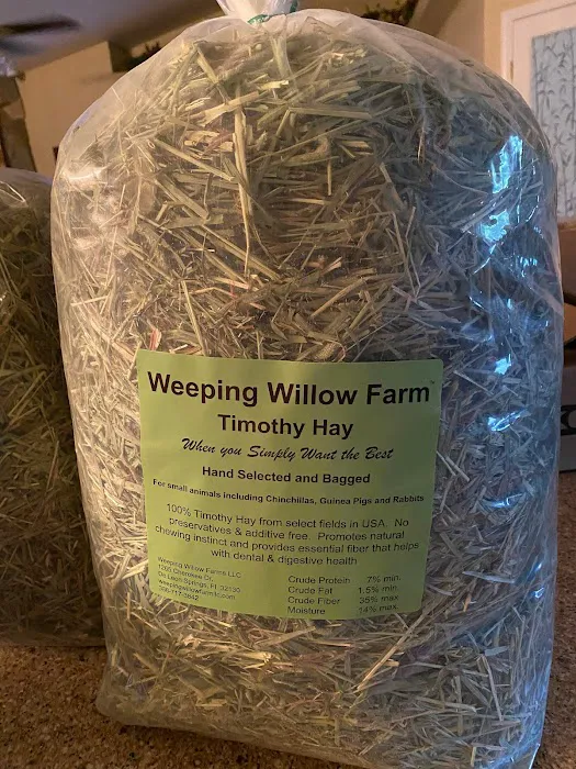 Weeping Willow Farm llc Home of C & B Chinchillas Picture 7