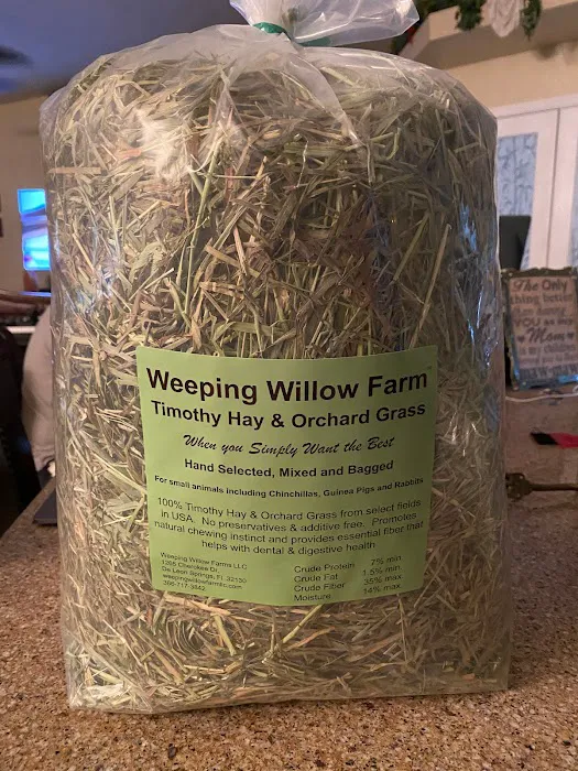 Weeping Willow Farm llc Home of C & B Chinchillas Picture 5