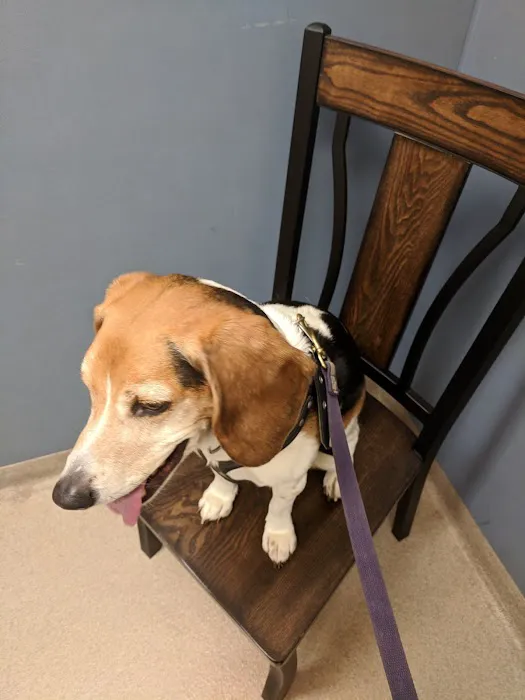 Boght Veterinary Clinic Picture 7