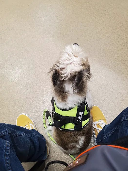 Boght Veterinary Clinic Picture 5