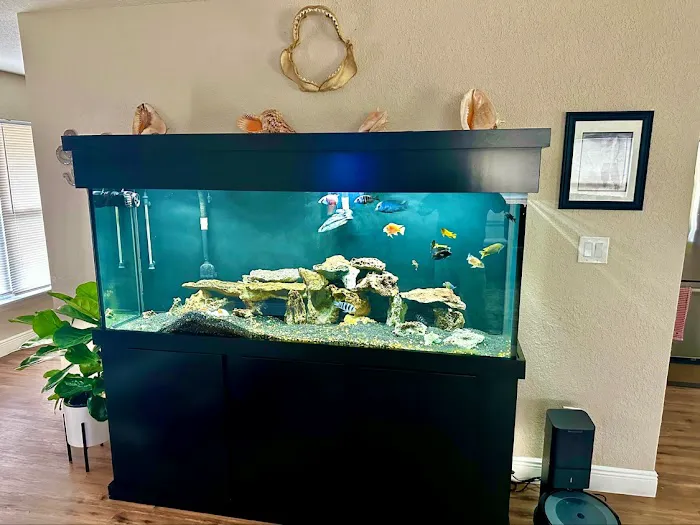 Cichlid Express/ Daytona Aquarium Fish Store Picture 7