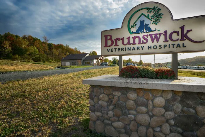 Brunswick Veterinary Hospital Picture 7