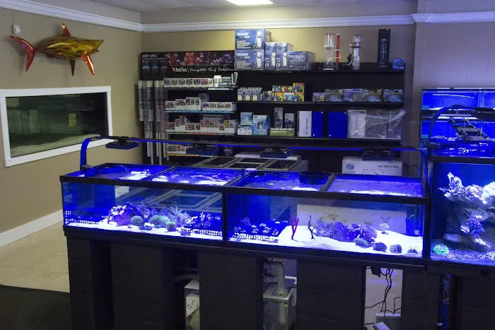 The Fish Tank Picture 8