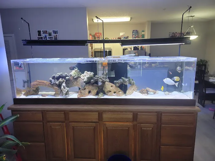 The Fish Tank Picture 9