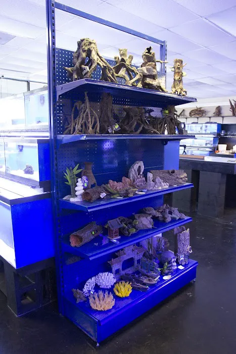 The Fish Tank Picture 3
