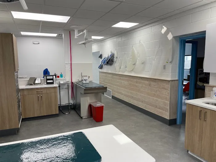Unleashed Veterinary Dermatology Picture 1
