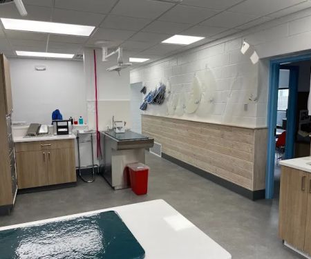 Unleashed Veterinary Dermatology