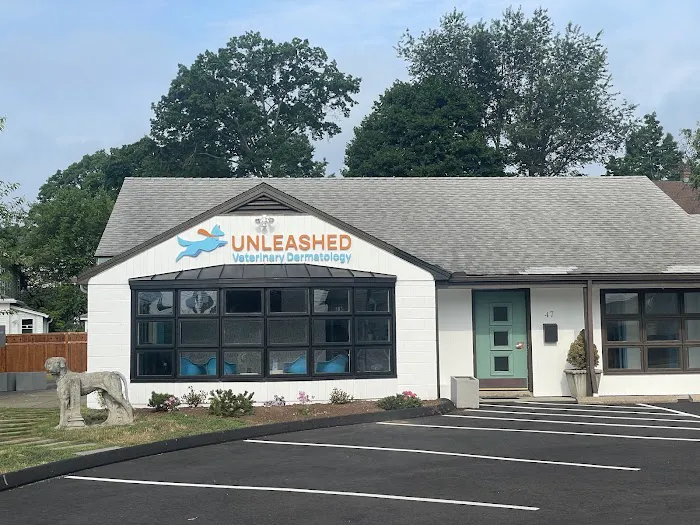 Unleashed Veterinary Dermatology Picture 8