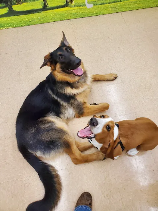 Petco Picture 8