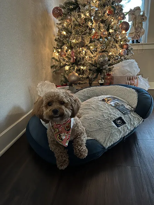 Petco Picture 6