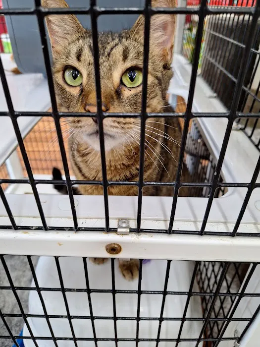 Pet Supermarket Picture 9