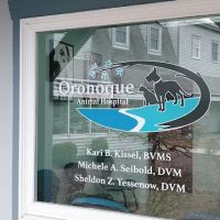 Oronoque Animal Hospital ico