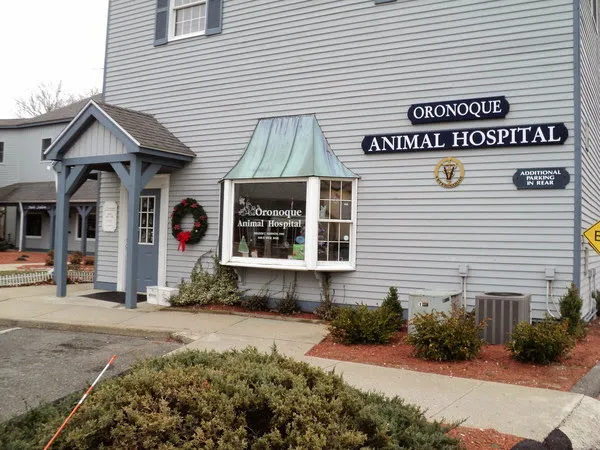 Oronoque Animal Hospital Picture 4