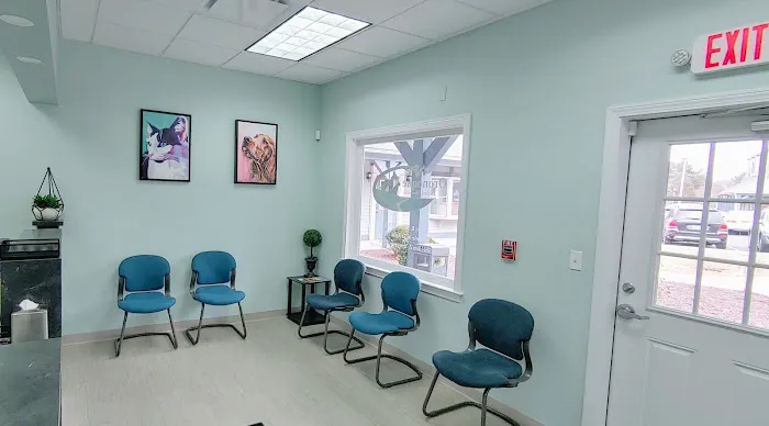 Oronoque Animal Hospital Picture 3