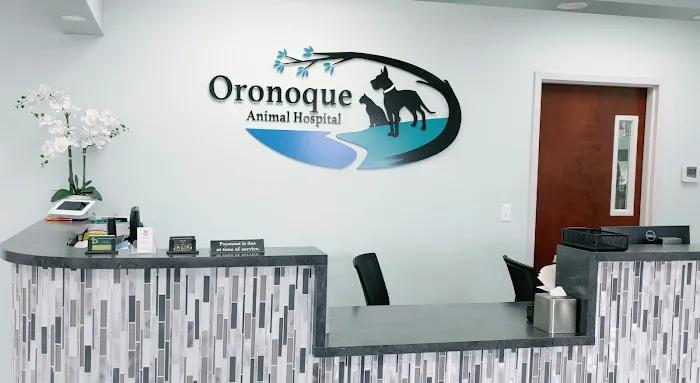 Oronoque Animal Hospital Picture 7
