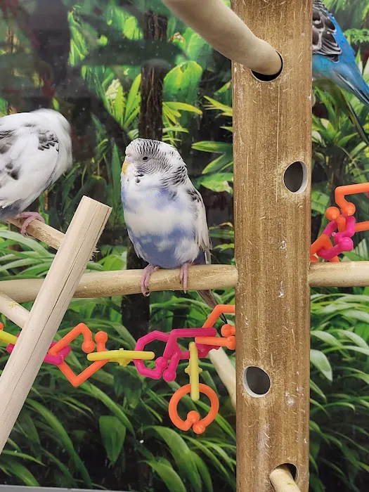 Petco Picture 4