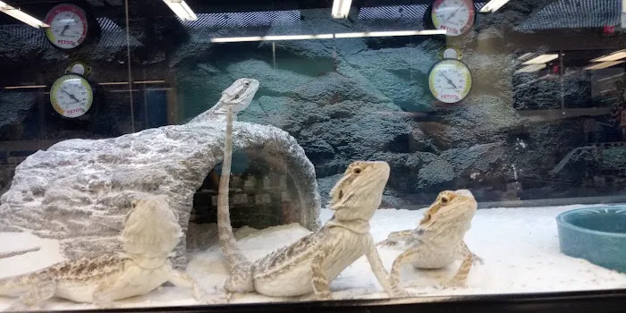 Petco Picture 5