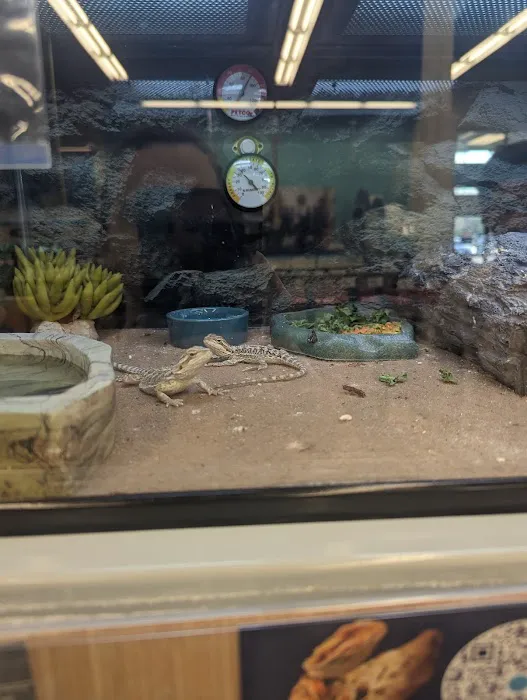 Petco Picture 7