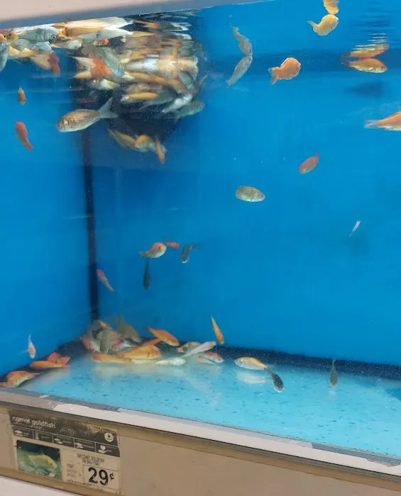 Petco Picture 8