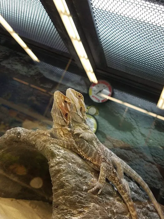 Petco Picture 10