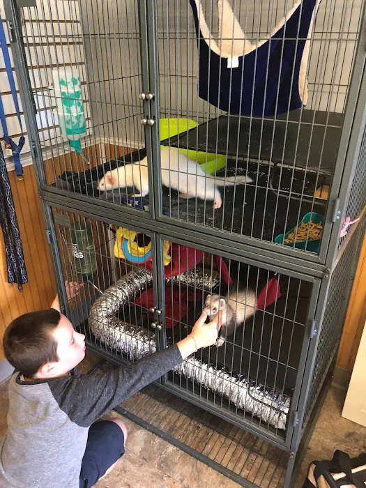 Snowflake Pet Center Picture 9