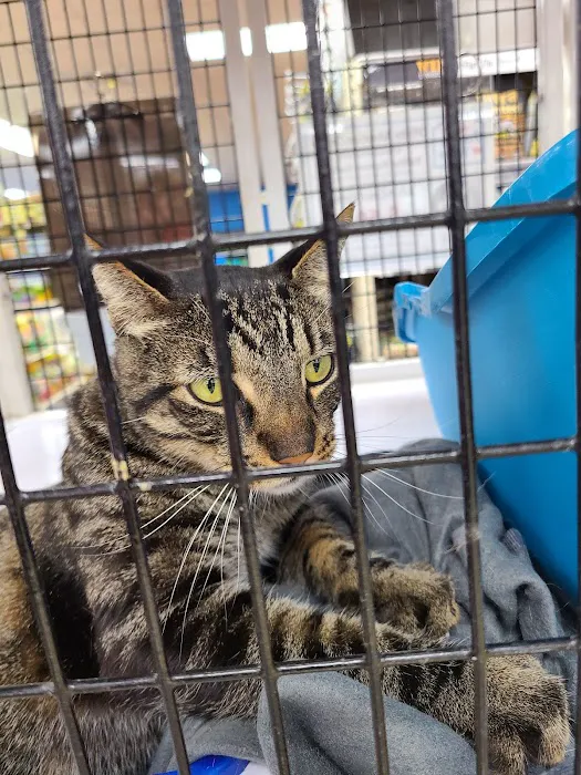 Pet Supermarket Picture 1