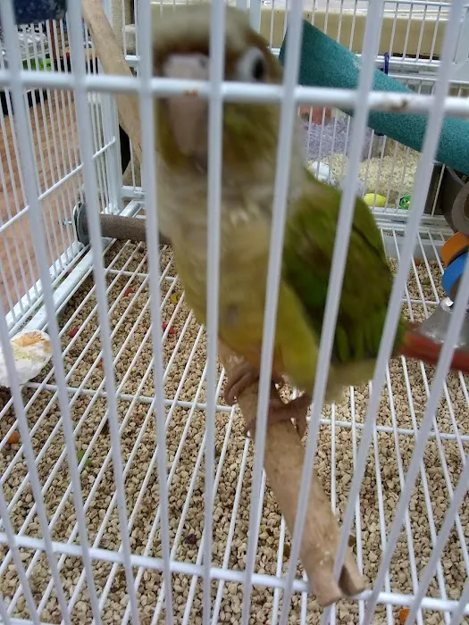 Pet Supermarket Picture 7