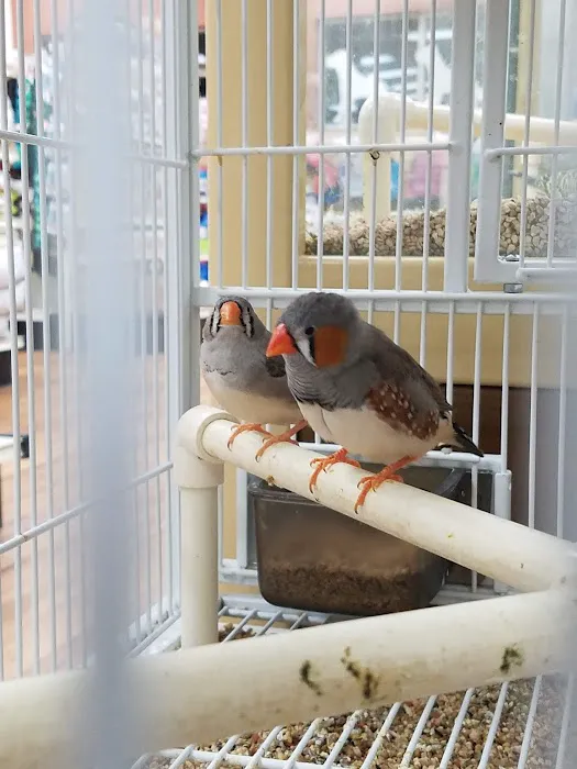 Pet Supermarket Picture 2