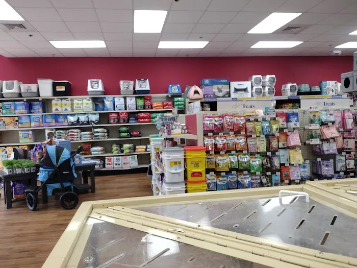Pet Supermarket Picture 4