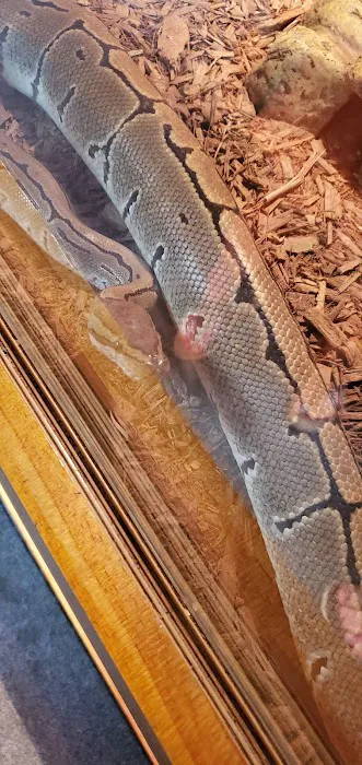 Scales and Tails Daytona Picture 9