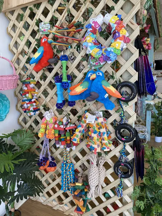 Bird Boutique Picture 5