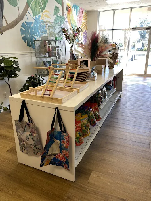 Bird Boutique Picture 9