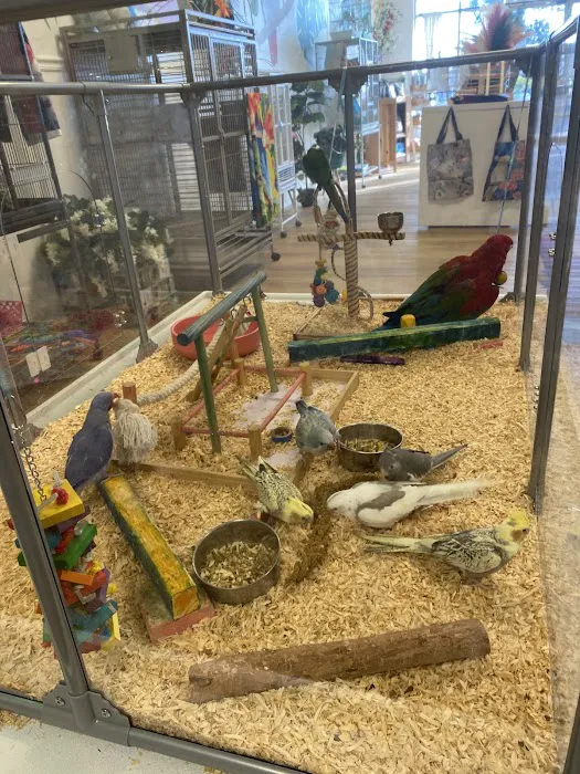 Bird Boutique Picture 8
