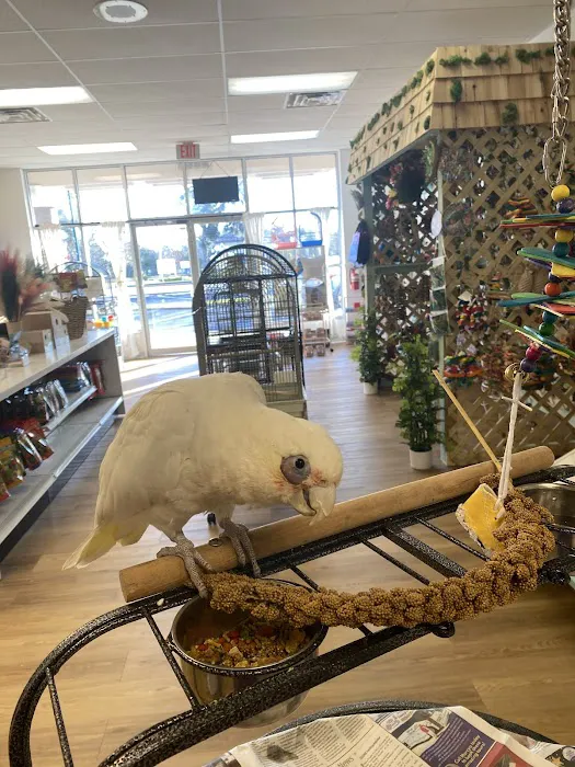 Bird Boutique Picture 10