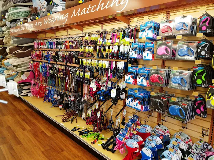 Pet Supermarket Picture 3