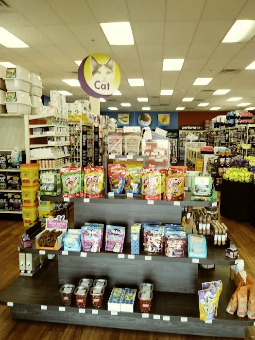 Pet Supermarket Picture 5