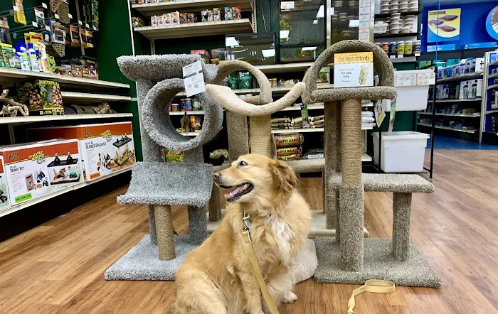 Pet Supermarket Picture 2