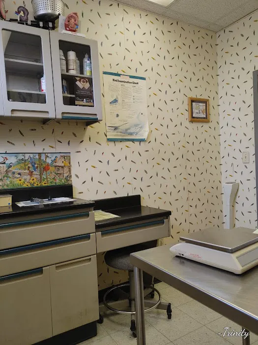 Barnum Animal Hospital Picture 10