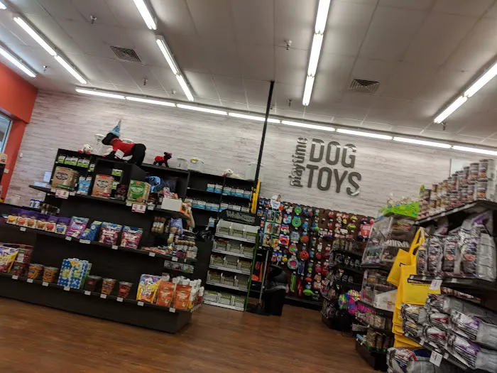 Pet Supermarket Picture 8