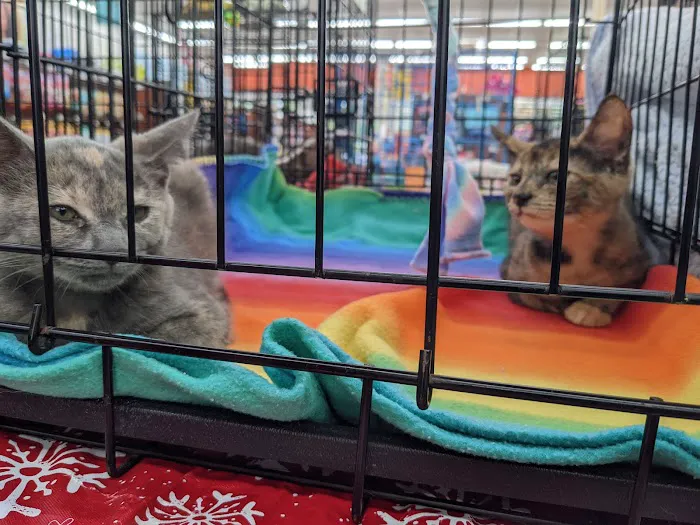 Pet Supermarket Picture 9
