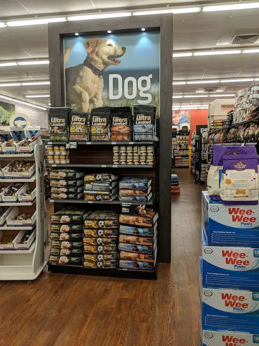 Pet Supermarket Picture 7