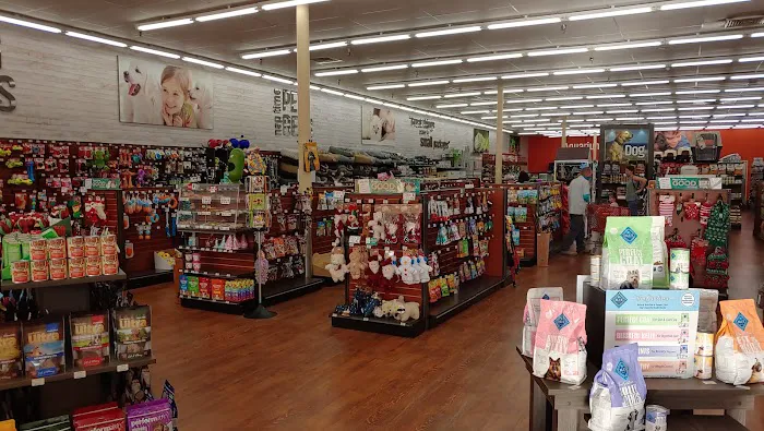 Pet Supermarket Picture 3