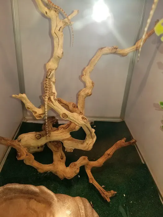 Pet Supermarket Picture 10