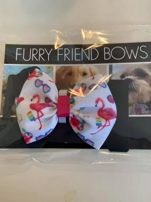 Furry Friends Gourmet Pet Treats Picture 7