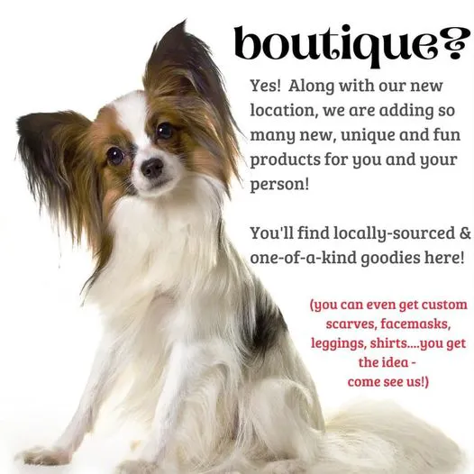 Furry Friends Gourmet Pet Treats Picture 10