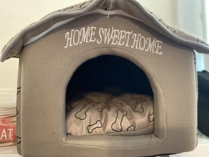 Furry Friends Gourmet Pet Treats Picture 5