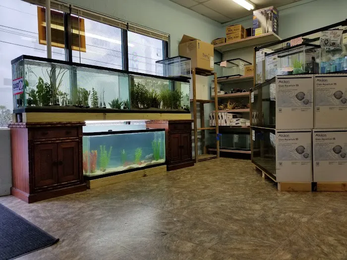 Undersea World Aquatics Picture 6