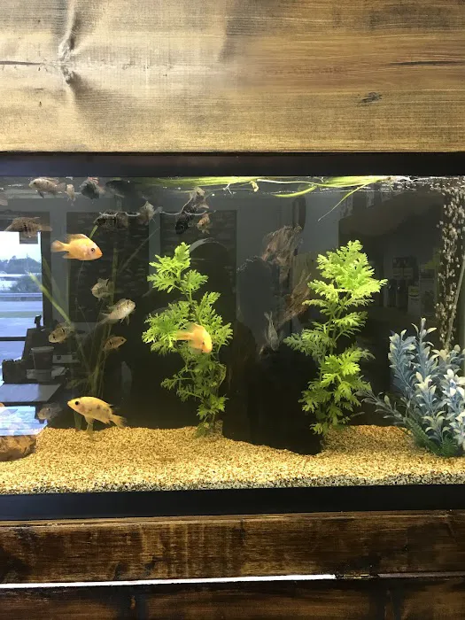 Undersea World Aquatics Picture 1