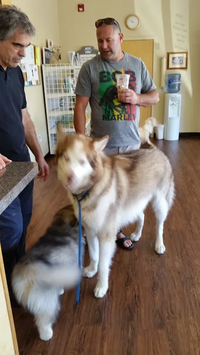 Companion Animal Hospital of Milford Picture 9