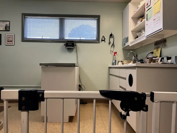 Stratford Animal Hospital Picture 7